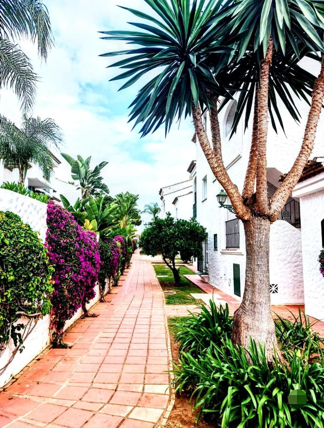 Paraiso Y Mar Lägenhet Estepona Exteriör bild